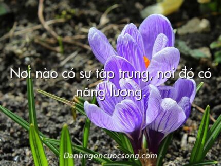 Nơi nào có sự tập trung, nơi đó có năng lượng.