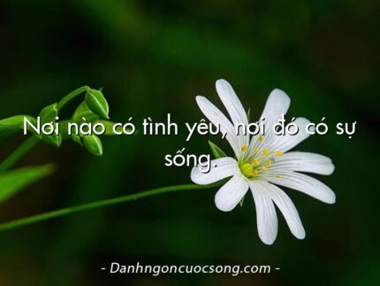 Nơi nào có tình yêu, nơi đó có sự sống.