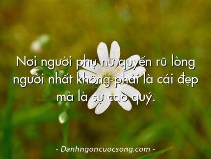 Nơi người phụ nữ quyến rũ lòng người nhất không phải là cái đẹp mà là sự cao quý.