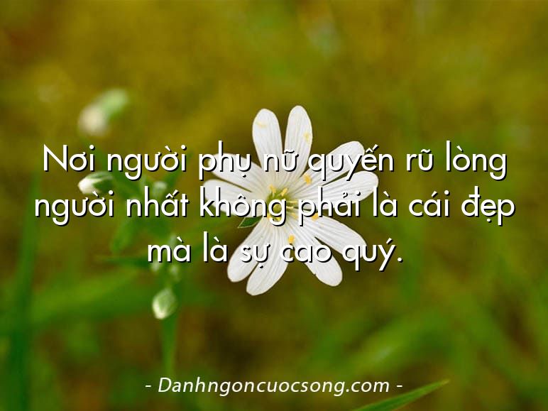 Nơi người phụ nữ quyến rũ lòng người nhất không phải là cái đẹp mà là sự cao quý.