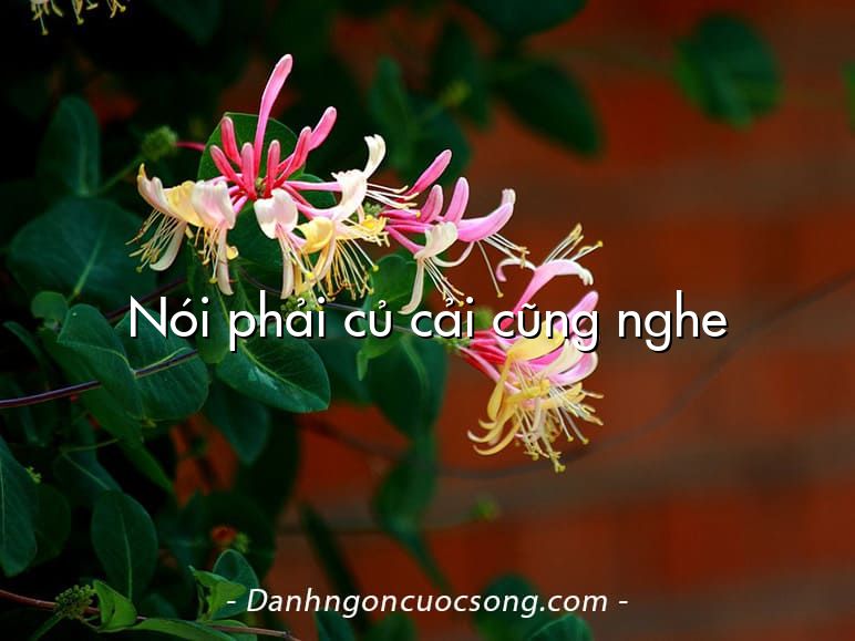 Nói phải củ cải cũng nghe
