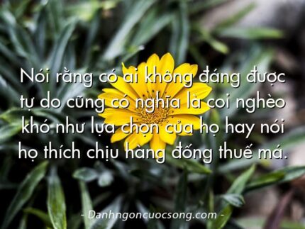 Nói rằng có ai không đáng được tự do cũng có nghĩa là coi nghèo khó như lựa chọn của họ hay nói họ thích chịu hàng đống thuế má.