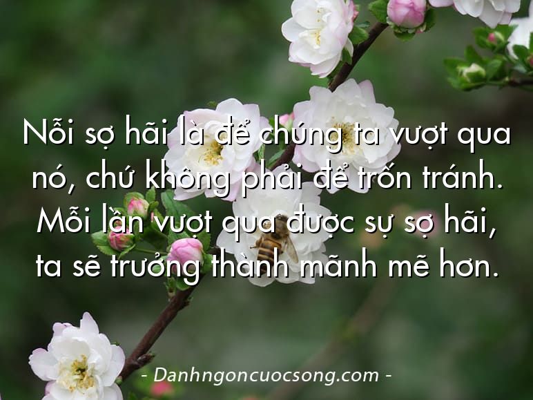 Nỗi sợ hãi là để chúng ta vượt qua nó, chứ không phải để trốn tránh. Mỗi lần vượt qua được sự sợ hãi, ta sẽ trưởng thành mãnh mẽ hơn.
