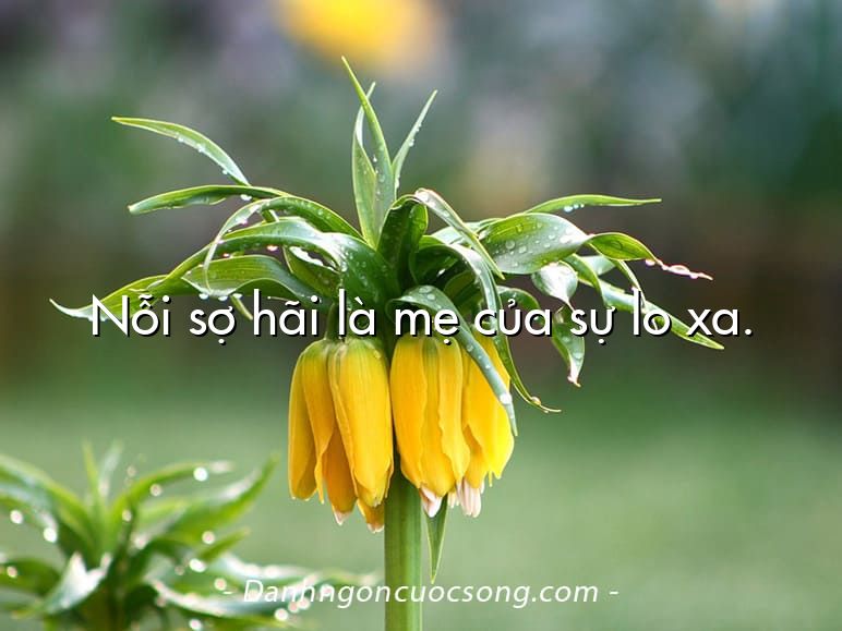 Nỗi sợ hãi là mẹ của sự lo xa.