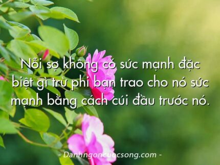 Nỗi sợ không có sức mạnh đặc biệt gì trừ phi bạn trao cho nó sức mạnh bằng cách cúi đầu trước nó.