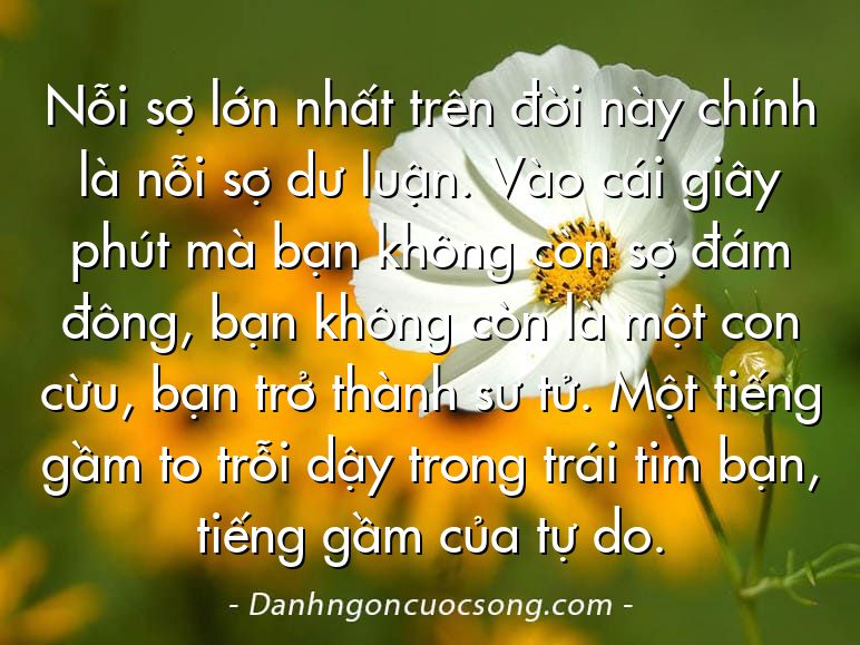 Nỗi sợ lớn nhất trên đời này chính là nỗi sợ dư luận. Vào cái giây phút mà bạn không còn sợ đám đông, bạn không còn là một con cừu, bạn trở thành sư tử. Một tiếng gầm to trỗi dậy trong trái tim bạn, tiếng gầm của tự do.