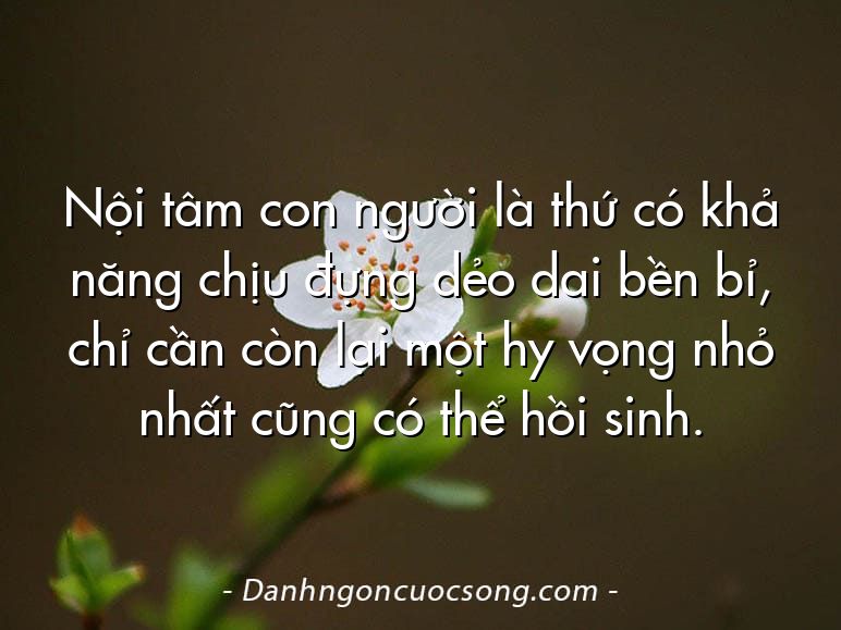 Nội tâm con người là thứ có khả năng chịu đựng dẻo dai bền bỉ, chỉ cần còn lại một hy vọng nhỏ nhất cũng có thể hồi sinh.