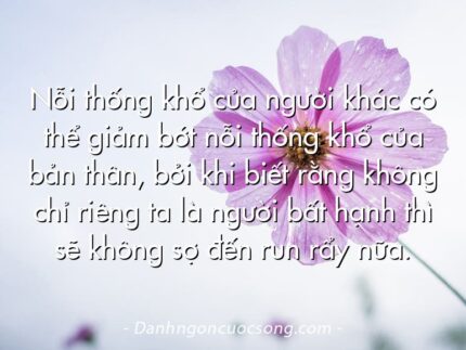 Nỗi thống khổ của người khác có thể giảm bớt nỗi thống khổ của bản thân, bởi khi biết rằng không chỉ riêng ta là người bất hạnh thì sẽ không sợ đến run rẩy nữa.