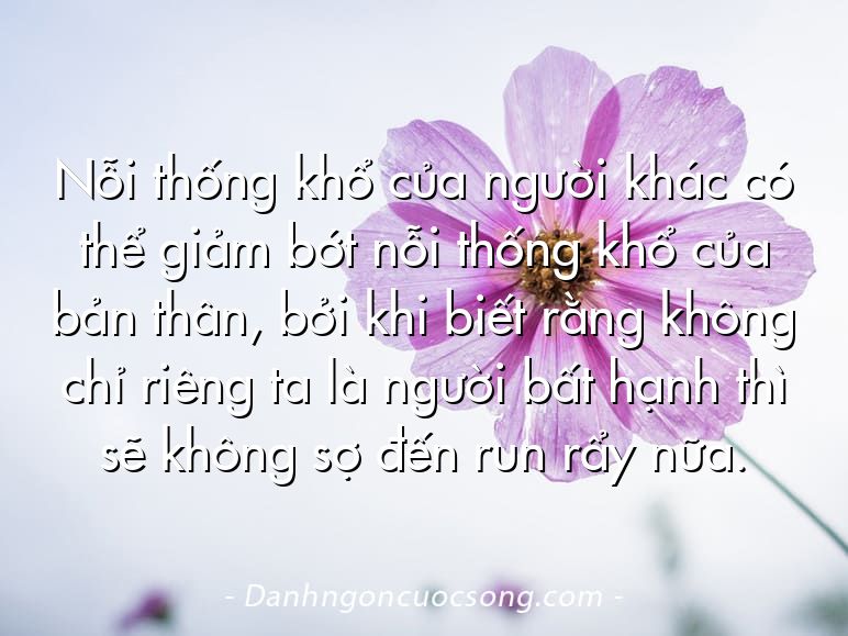Nỗi thống khổ của người khác có thể giảm bớt nỗi thống khổ của bản thân, bởi khi biết rằng không chỉ riêng ta là người bất hạnh thì sẽ không sợ đến run rẩy nữa.