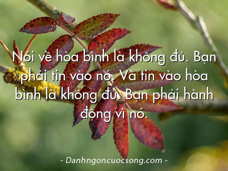 Nói về hòa bình là không đủ. Bạn phải tin vào nó. Và tin vào hòa bình là không đủ. Bạn phải hành động vì nó.