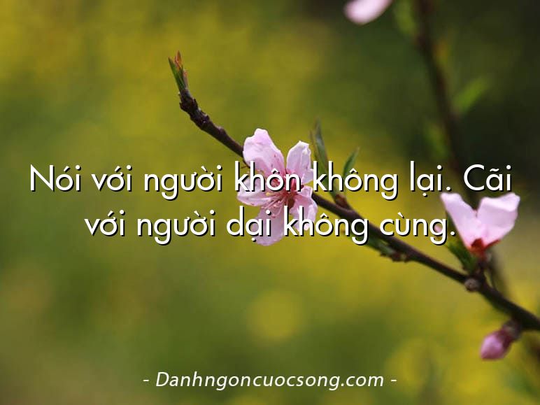 Nói với người khôn không lại. Cãi với người dại không cùng.