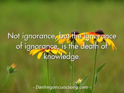 Not ignorance, but the ignorance of ignorance, is the death of knowledge.