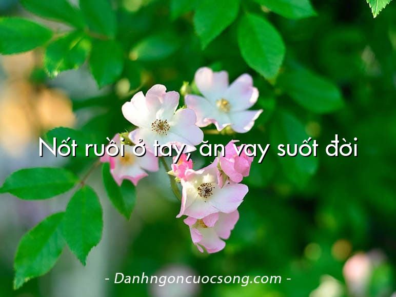 Nốt ruồi ở tay, ăn vay suốt đời