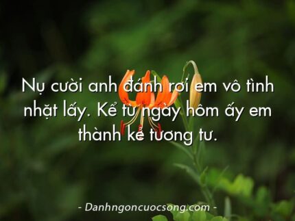 Nụ cười anh đánh rơi em vô tình nhặt lấy. Kể từ ngày hôm ấy em thành kẻ tương tư.