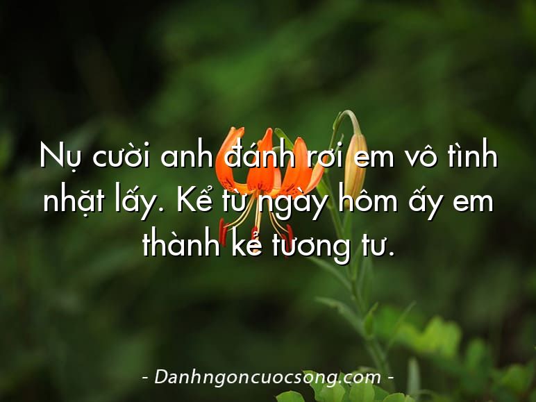 Nụ cười anh đánh rơi em vô tình nhặt lấy. Kể từ ngày hôm ấy em thành kẻ tương tư.