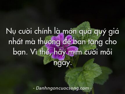Nụ cười chính là món quà quý giá nhất mà thượng đế ban tặng cho bạn. Vì thế, hãy mỉm cười mỗi ngày.