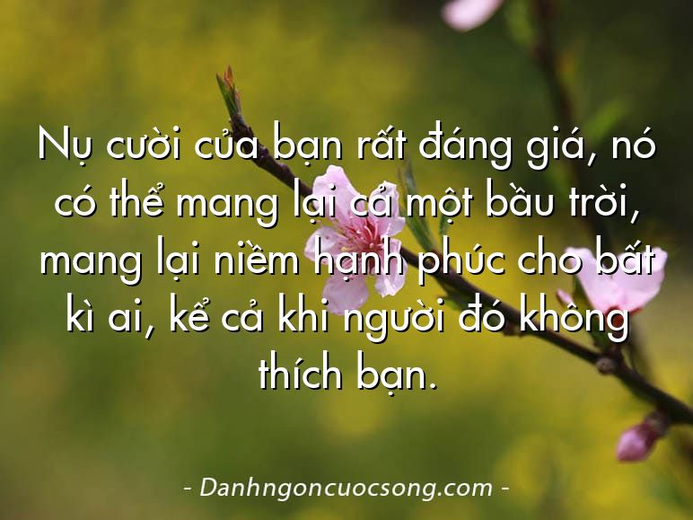 Nụ cười của bạn rất đáng giá, nó có thể mang lại cả một bầu trời, mang lại niềm hạnh phúc cho bất kì ai, kể cả khi người đó không thích bạn.