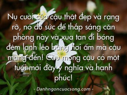 Nụ cười của cậu thật đẹp và rạng rỡ, nó đủ sức để thắp sáng căn phòng này và xua tan đi bóng đêm lạnh lẽo bằng hơi ấm mà cậu mang đến! Cầu mong cậu có một tuổi mới đầy ý nghĩa và hạnh phúc!