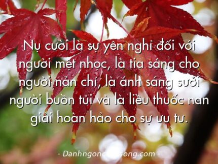 Nụ cười là sự yên nghỉ đối với người mệt nhọc, là tia sáng cho người nản chí, là ánh sáng sưởi người buồn tủi và là liều thuốc nan giải hoàn hảo cho sự ưu tư.