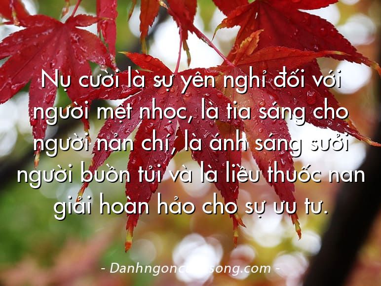 Nụ cười là sự yên nghỉ đối với người mệt nhọc, là tia sáng cho người nản chí, là ánh sáng sưởi người buồn tủi và là liều thuốc nan giải hoàn hảo cho sự ưu tư.