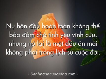 Nụ hôn đầu hoàn toàn không thể bảo đảm cho tình yêu vĩnh cửu, nhưng nó lại là một dấu ấn mãi không phai trong lịch sử cuộc đời.