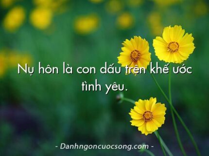 Nụ hôn là con dấu trên khế ước tình yêu.