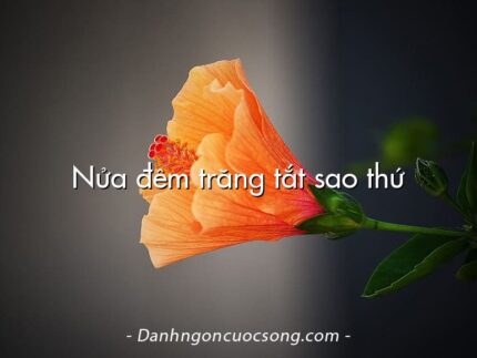 Nửa đêm trăng tắt sao thứ