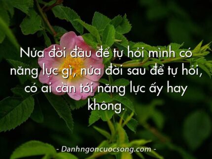 Nửa đời đầu để tự hỏi mình có năng lực gì, nửa đời sau để tự hỏi, có ai cần tới năng lực ấy hay không.