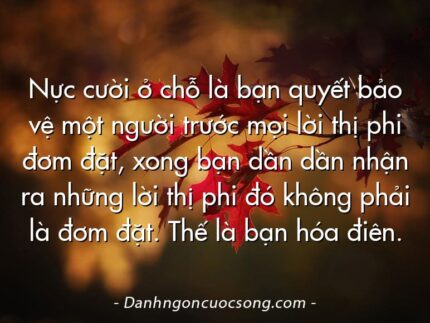 Nực cười ở chỗ là bạn quyết bảo vệ một người trước mọi lời thị phi đơm đặt, xong bạn dần dần nhận ra những lời thị phi đó không phải là đơm đặt. Thế là bạn hóa điên.