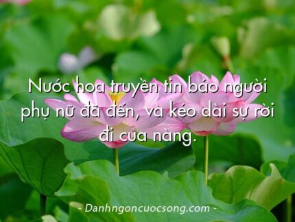 Nước hoa truyền tin báo người phụ nữ đã đến, và kéo dài sự rời đi của nàng.