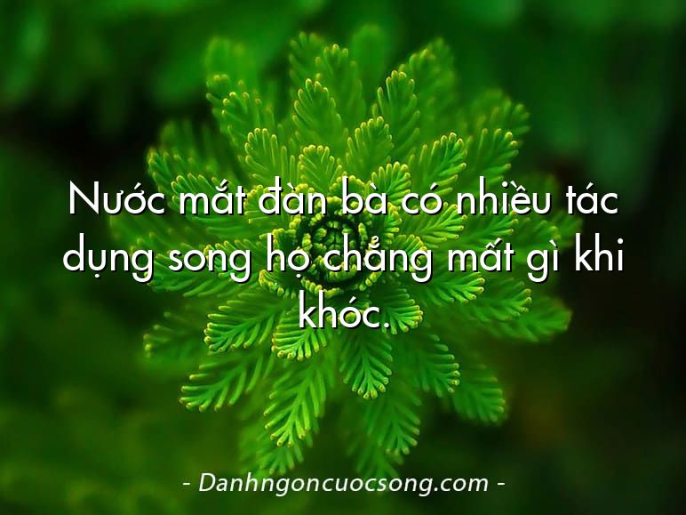 Nước mắt đàn bà có nhiều tác dụng song họ chẳng mất gì khi khóc.