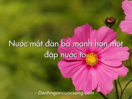 Nước mắt đàn bà mạnh hơn một đập nước to.