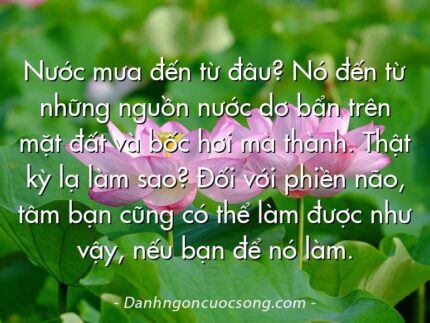 Nước mưa đến từ đâu? Nó đến từ những nguồn nước dơ bẩn trên mặt đất và bốc hơi mà thành. Thật kỳ lạ làm sao? Đối với phiền não, tâm bạn cũng có thể làm được như vậy, nếu bạn để nó làm.