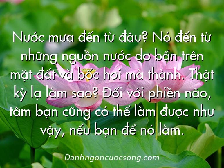 Nước mưa đến từ đâu? Nó đến từ những nguồn nước dơ bẩn trên mặt đất và bốc hơi mà thành. Thật kỳ lạ làm sao? Đối với phiền não, tâm bạn cũng có thể làm được như vậy, nếu bạn để nó làm.