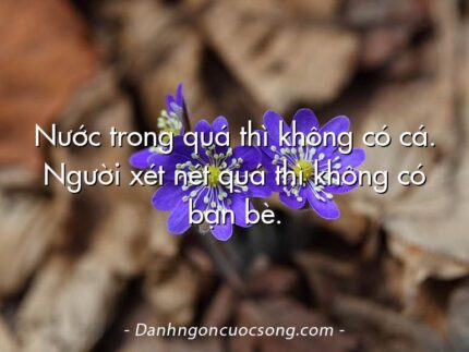 Nước trong quá thì không có cá. Người xét nét quá thì không có bạn bè.