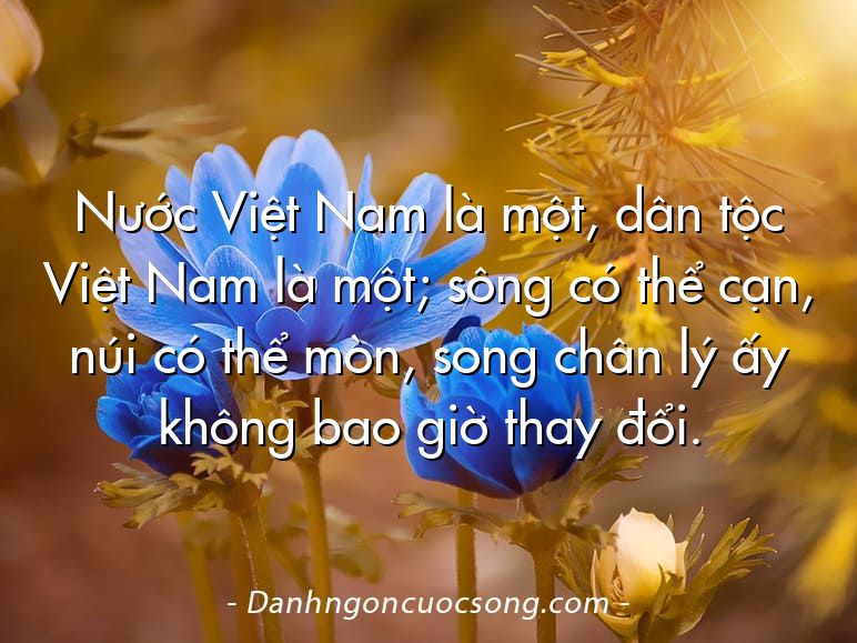 Nước Việt Nam là một, dân tộc Việt Nam là một; sông có thể cạn, núi có thể mòn, song chân lý ấy không bao giờ thay đổi.