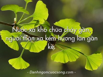 Nước xa khó chữa cháy gần, người thân xa kém hương lân gần kề.