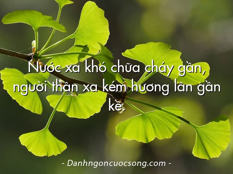 Nước xa khó chữa cháy gần, người thân xa kém hương lân gần kề.