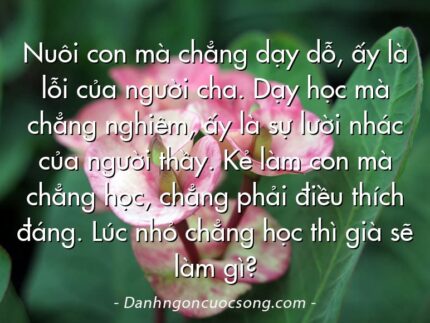 Nuôi con mà chẳng dạy dỗ, ấy là lỗi của người cha. Dạy học mà chẳng nghiêm, ấy là sự lười nhác của người thầy. Kẻ làm con mà chẳng học, chẳng phải điều thích đáng. Lúc nhỏ chẳng học thì già sẽ làm gì?