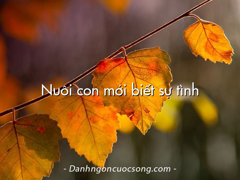 Nuôi con mới biết sự tình