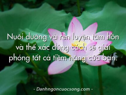 Nuôi dưỡng và rèn luyện tâm hồn và thể xác đúng cách sẽ giải phóng tất cả tiềm năng của bạn.
