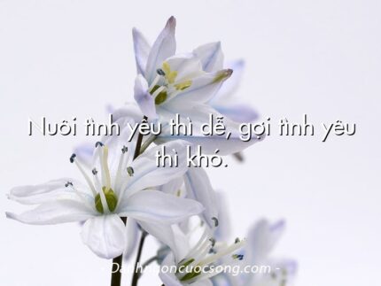 Nuôi tình yêu thì dễ, gợi tình yêu thì khó.