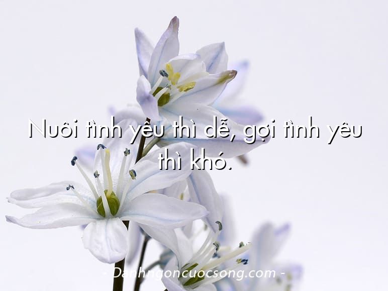 Nuôi tình yêu thì dễ, gợi tình yêu thì khó.