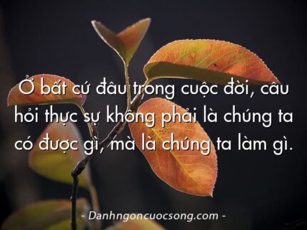 Ở bất cứ đâu trong cuộc đời, câu hỏi thực sự không phải là chúng ta có được gì, mà là chúng ta làm gì.