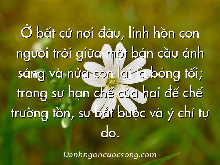 Ở bất cứ nơi đâu, linh hồn con người trôi giữa một bán cầu ánh sáng và nửa còn lại là bóng tối; trong sự hạn chế của hai đế chế trường tồn, sự bắt buộc và ý chí tự do.