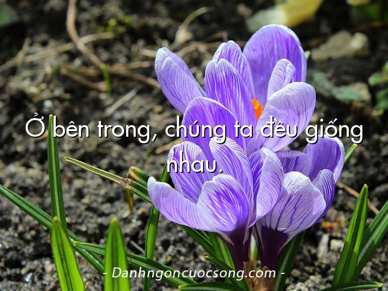 Ở bên trong, chúng ta đều giống nhau.