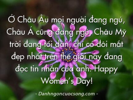Ở Châu Âu mọi người đang ngủ, Châu Á cũng đang ngủ, Châu Mỹ trời đang tối dần, chỉ có đôi mắt đẹp nhất trên thế giới này đang đọc tin nhắn của anh. Happy Women’s Day!