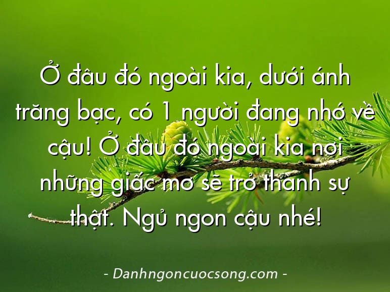 Ở đâu đó ngoài kia, dưới ánh trăng bạc, có 1 người đang nhớ về cậu! Ở đâu đó ngoài kia nơi những giấc mơ sẽ trở thành sự thật. Ngủ ngon cậu nhé!