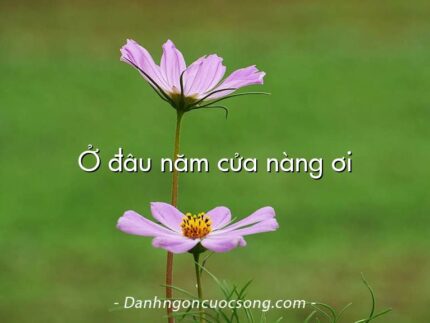 Ở đâu năm cửa nàng ơi
