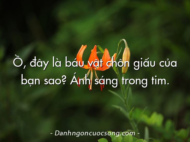 Ồ, đây là báu vật chôn giấu của bạn sao? Ánh sáng trong tim.